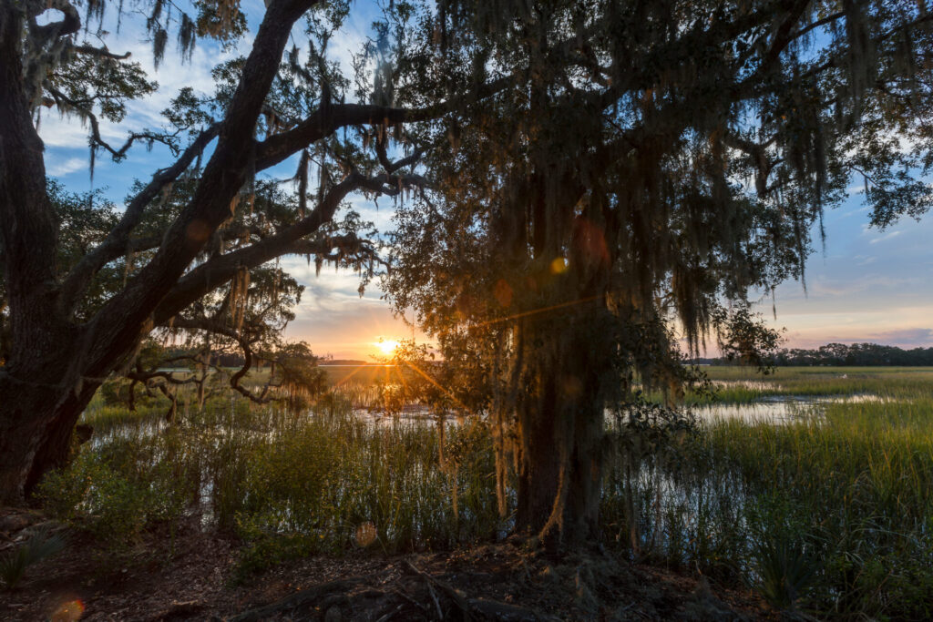 wadmalaw,island,,south,carolina