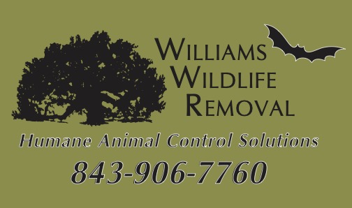 wwf logo olive withtag 1