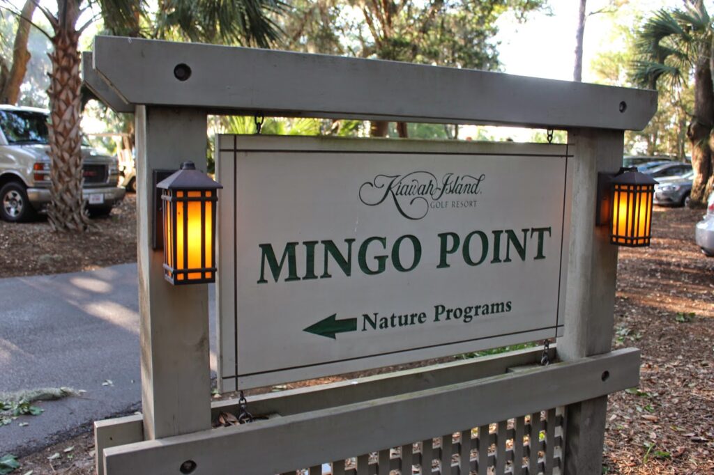 mingo point